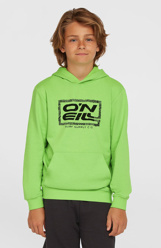Logo Hoodie - O'Neill Kids