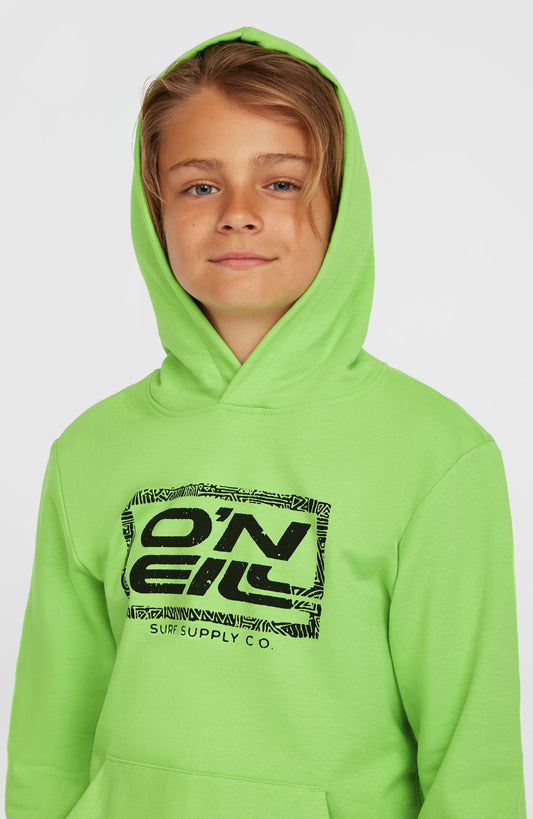 Logo Hoodie - O'Neill Kids
