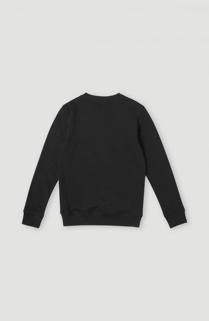 Logo Crew Sweatshirt - O'Neill Kids